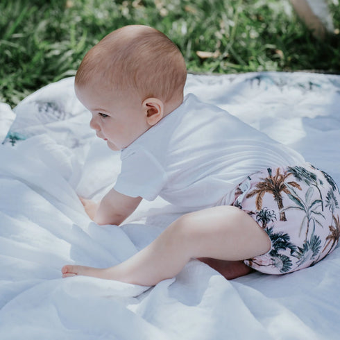 Cloth Bums Pixie Pocket + All in Two Nappy COVER ONLY